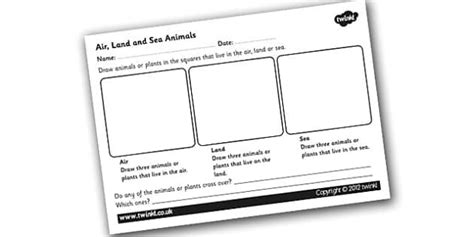 air animals drawing|Air, Land and Sea Animals Worksheet .